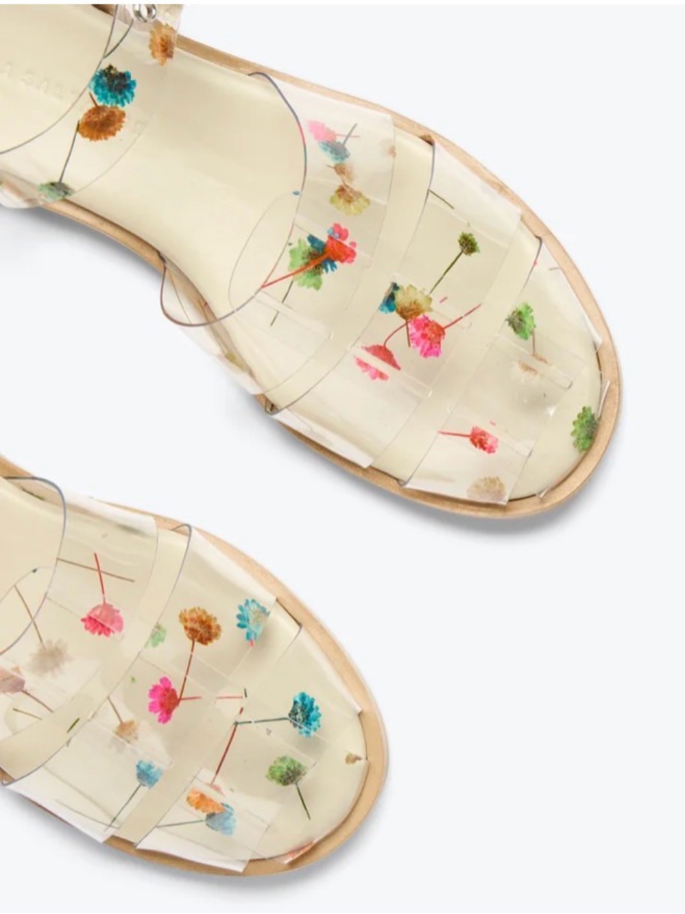 Freda Salvador Sera Fisherman Sandals
